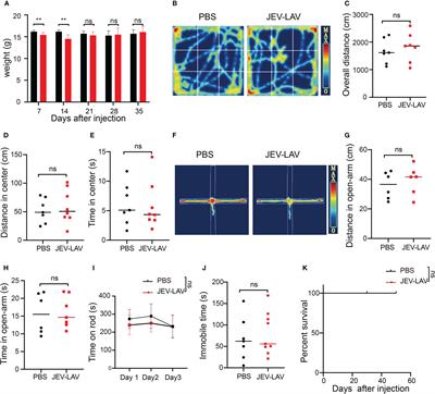 Live-attenuated Japanese encephalitis virus inhibits glioblastoma growth and elicits potent antitumor immunity